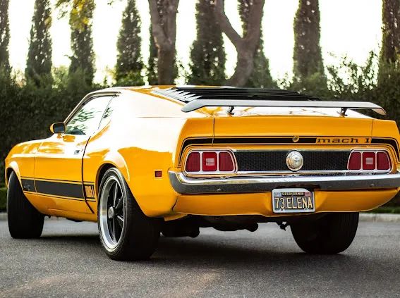1973 Ford Mach 1 Mustang